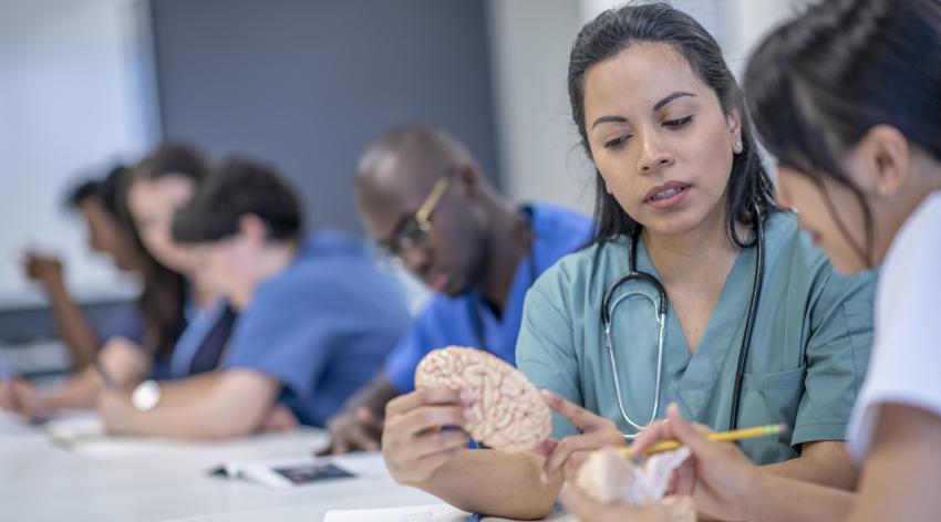A medical professional shows a student a model of a brain
