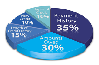 A pie chart with different types of credit history