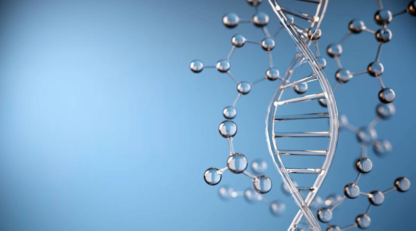 An illustration of a DNA molecule